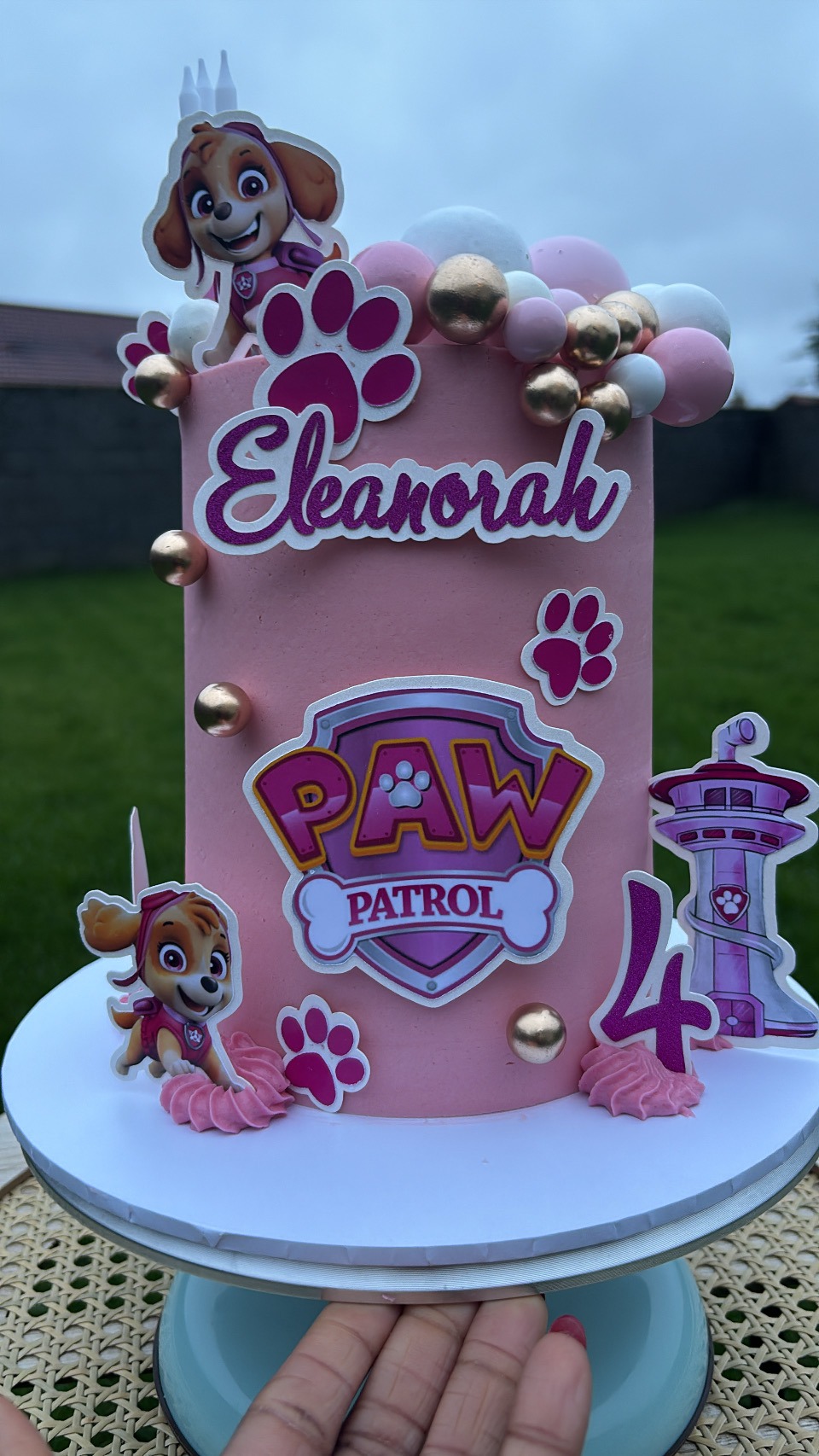 Paw Patrol cake in Meath