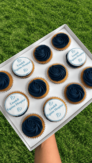 CORPORATE CUPCAKES MEATH - Image 2